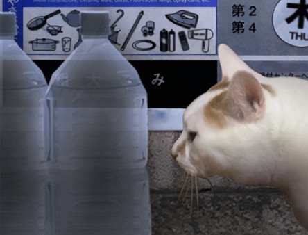 つぐのひ