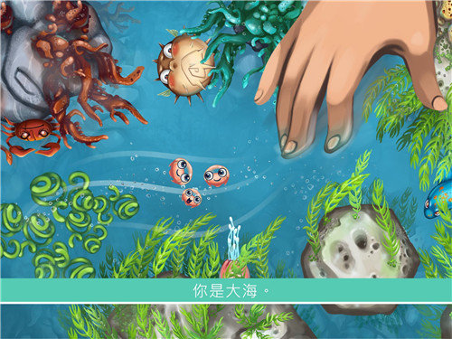 水母暗礁Jelly Reef