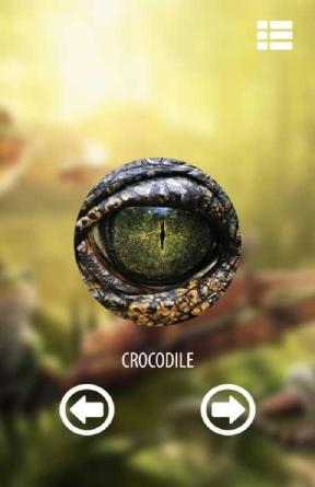 Vision animal simulator(动物视觉模拟软件app下载)