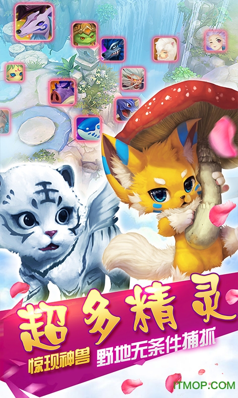 霸王之心 霸王之心